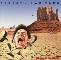 TYGERS OF PAN TANG/BURNING IN THE SHADE