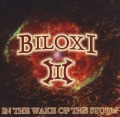 BILOXI/III - IN THE WAKE OF THE STORM