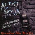 ALDO NOVA/BLOOD ON THE BRICKS
