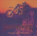 SHOOTING STAR/LEAP OF FAITH